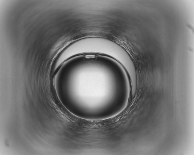 X0000099400243200805081540