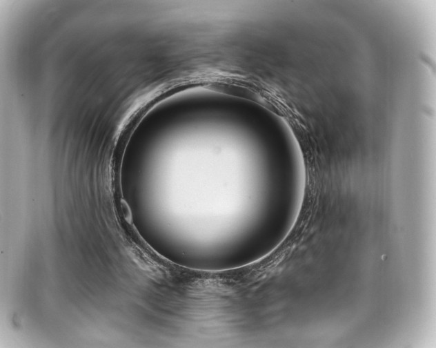 X0000099400244200805081540