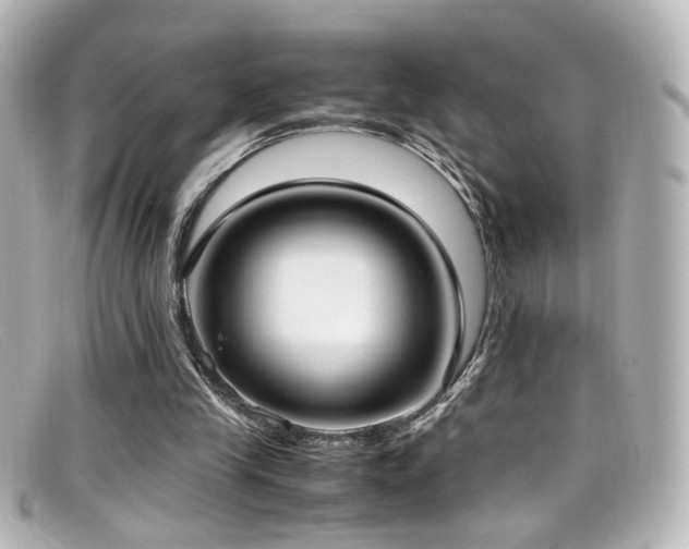 X0000099400245200805081541