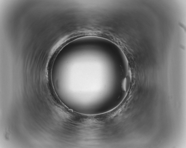 X0000099400246200805081541