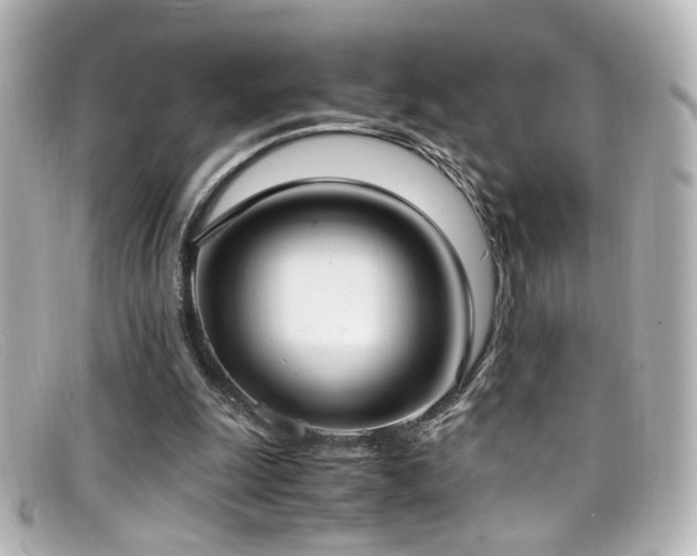 X0000099400247200805081541