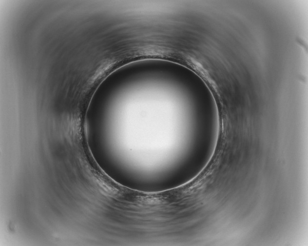 X0000099400249200805081541