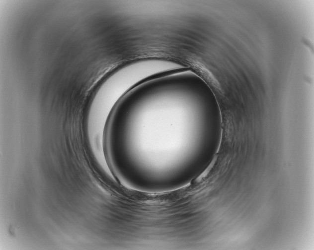 X0000099400251200805081541
