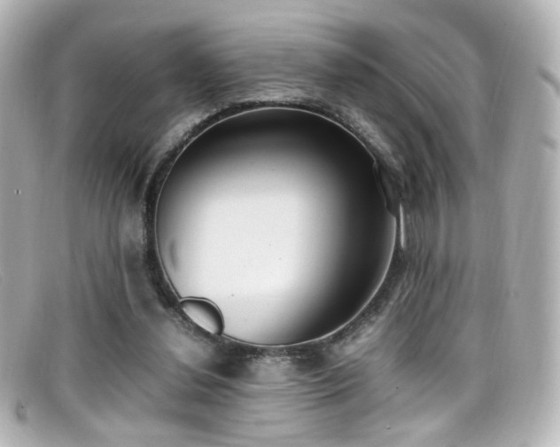 X0000099400252200805081541