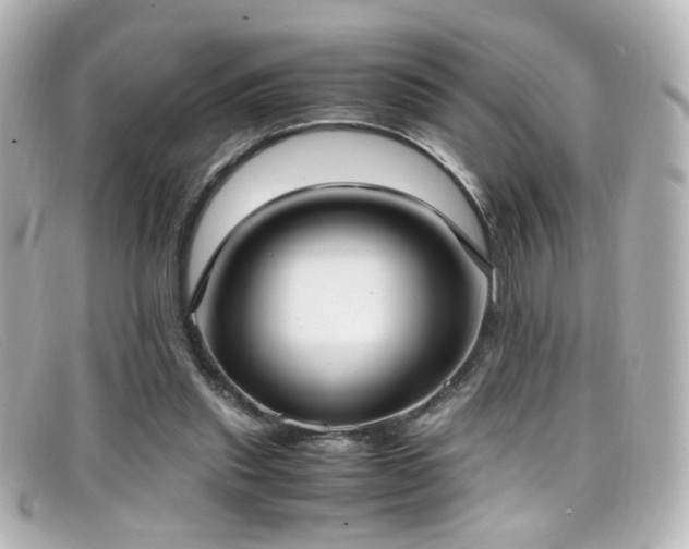X0000099400253200805081541