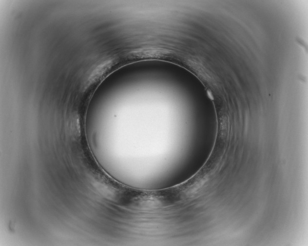 X0000099400254200805081541