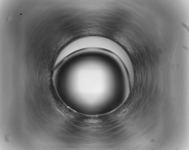 X0000099400255200805081541