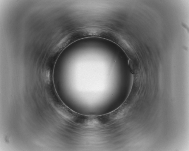 X0000099400262200805081541