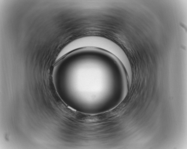 X0000099400263200805081541