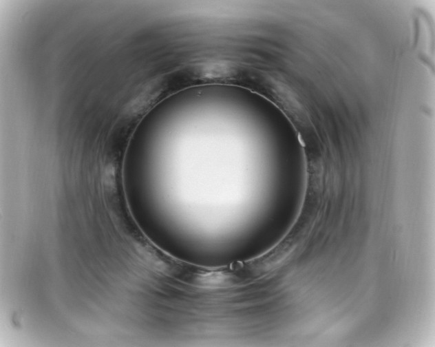 X0000099400269200805081541