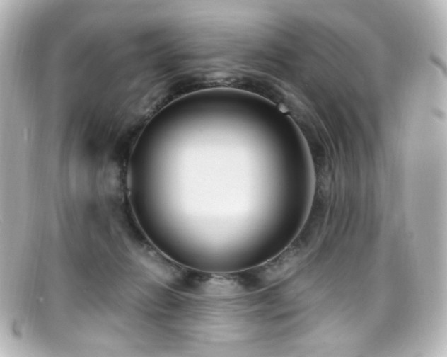 X0000099400270200805081541