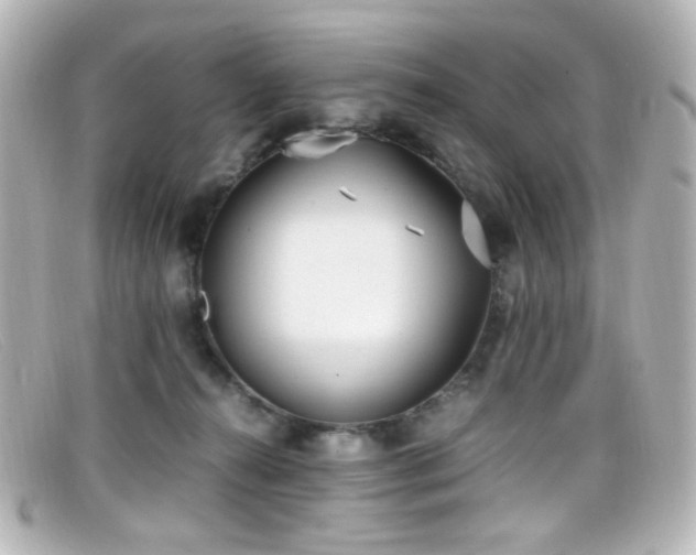 X0000099400272200805081541