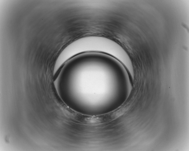 X0000099400273200805081541