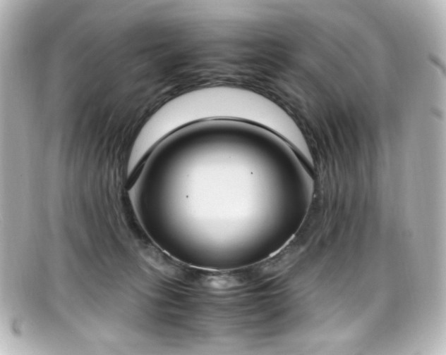 X0000099400275200805081541
