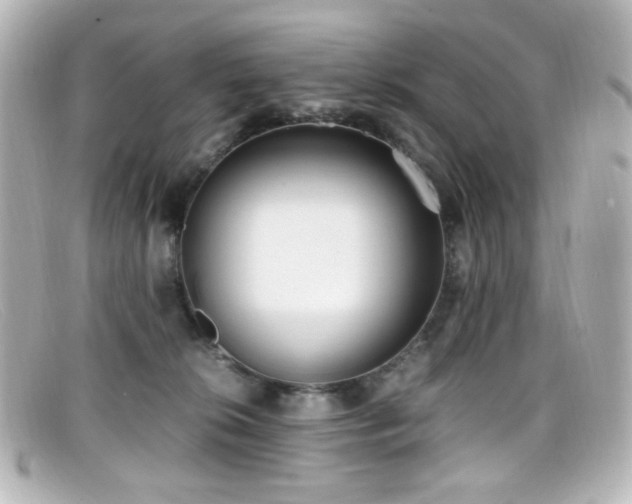 X0000099400276200805081541