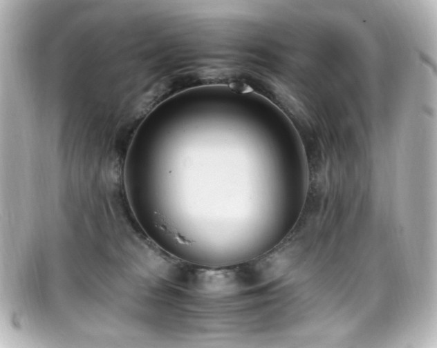 X0000099400277200805081541