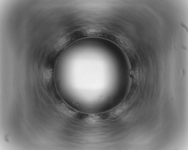 X0000099400278200805081541