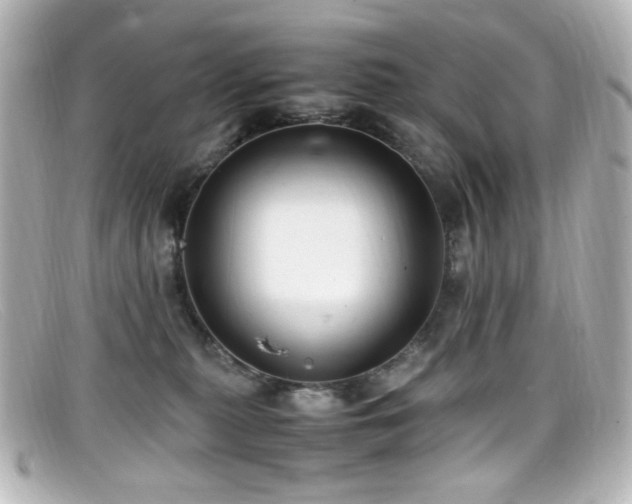 X0000099400279200805081541