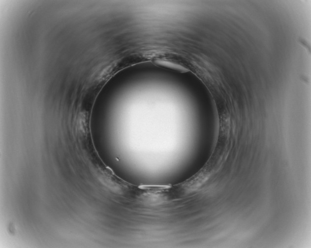 X0000099400280200805081541