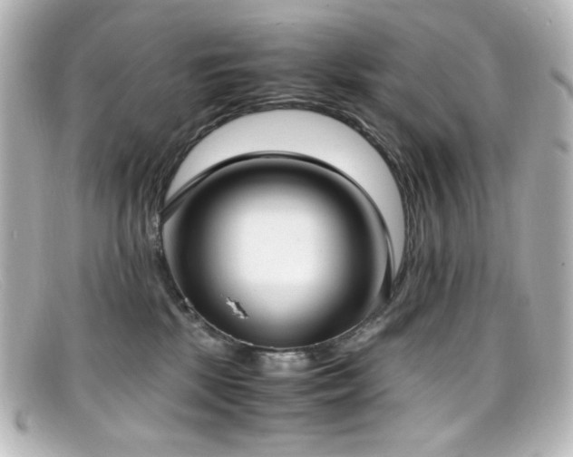 X0000099400281200805081541