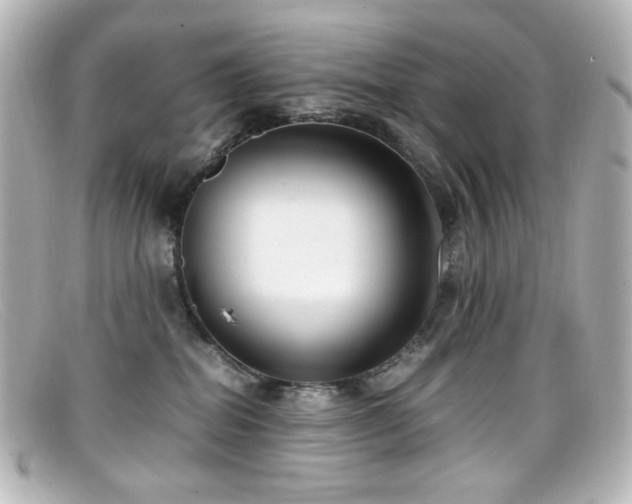 X0000099400282200805081541