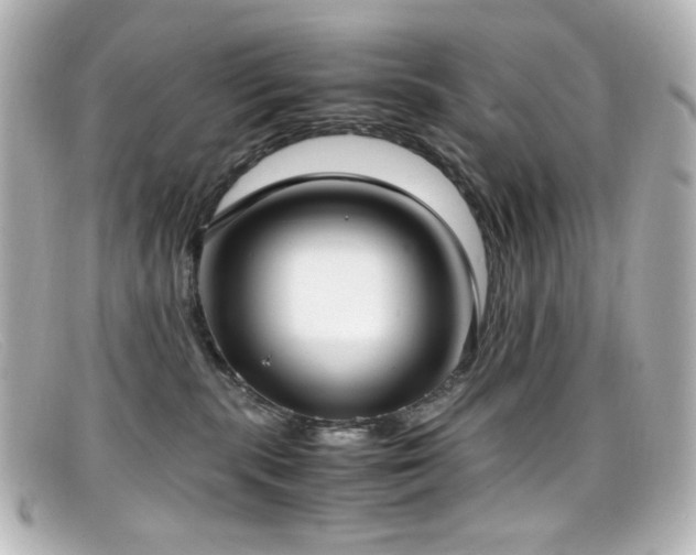 X0000099400283200805081541