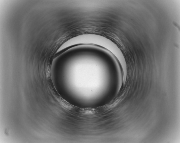 X0000099400285200805081541