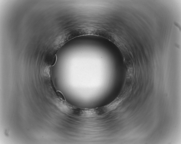 X0000099400286200805081541