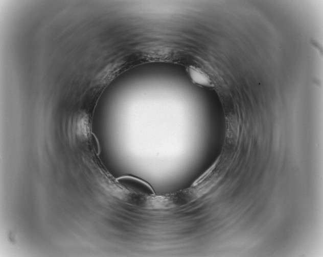 X0000099400287200805081541