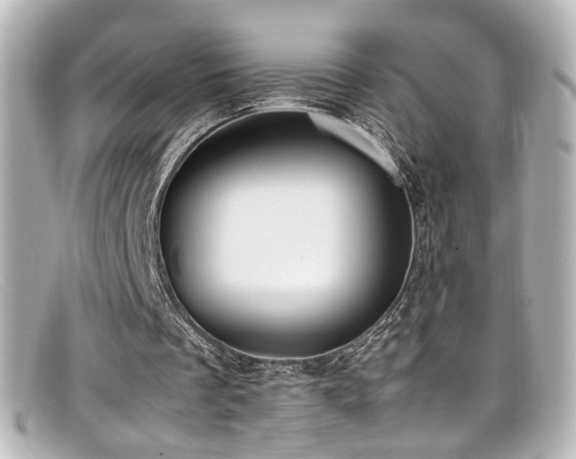 X0000099400289200805081540