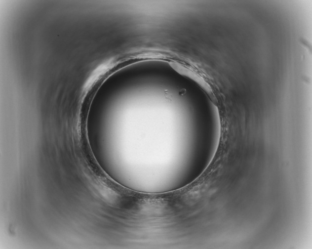 X0000099400296200805081540