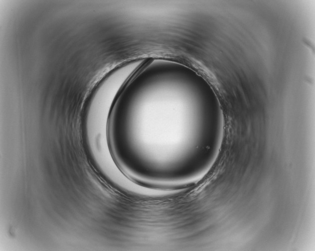X0000099400298200805081540