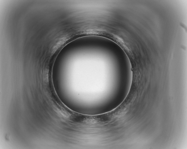 X0000099400299200805081540