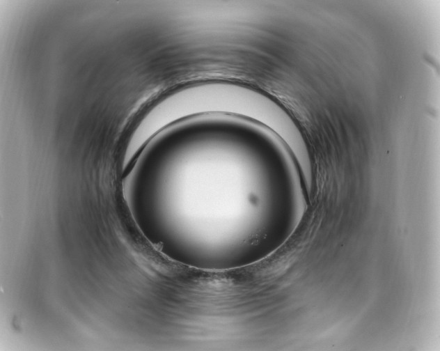 X0000099400304200805081540
