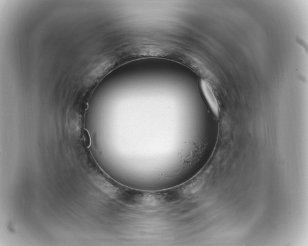 X0000099400305200805081540