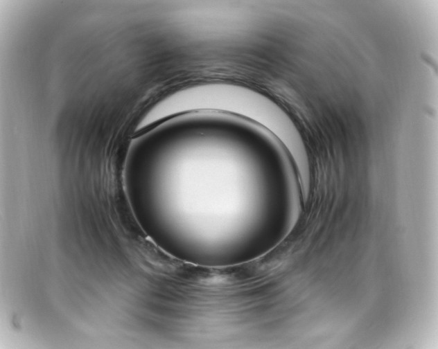 X0000099400312200805081540