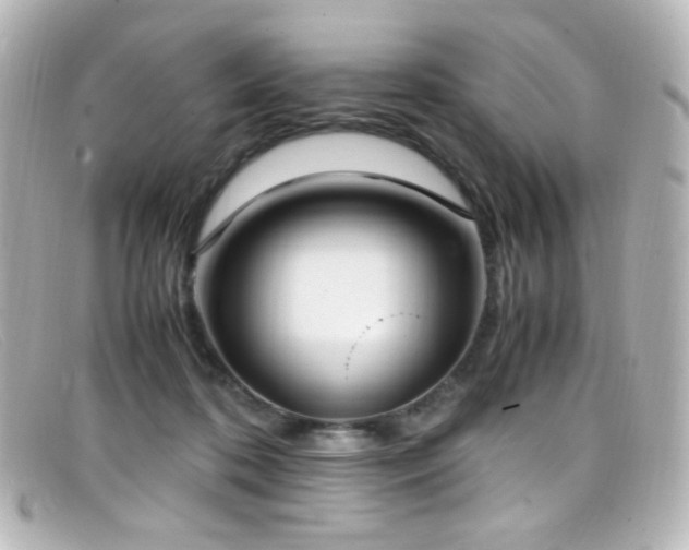 X0000099400316200805081540