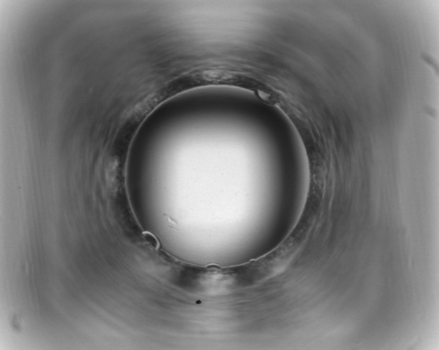 X0000099400319200805081540