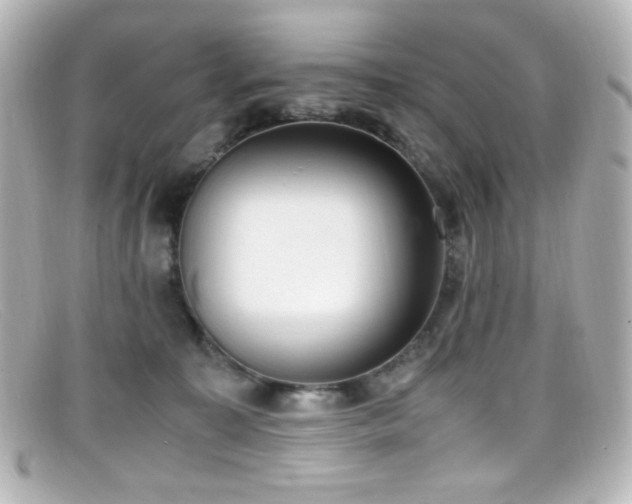 X0000099400323200805081540