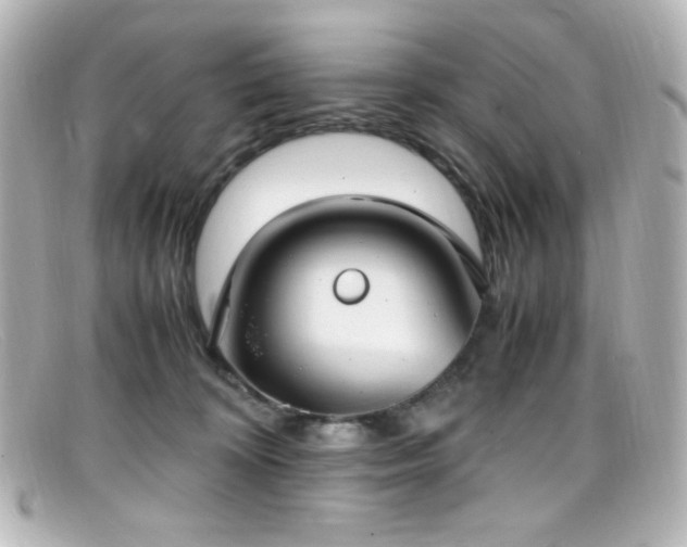 X0000099400324200805081540