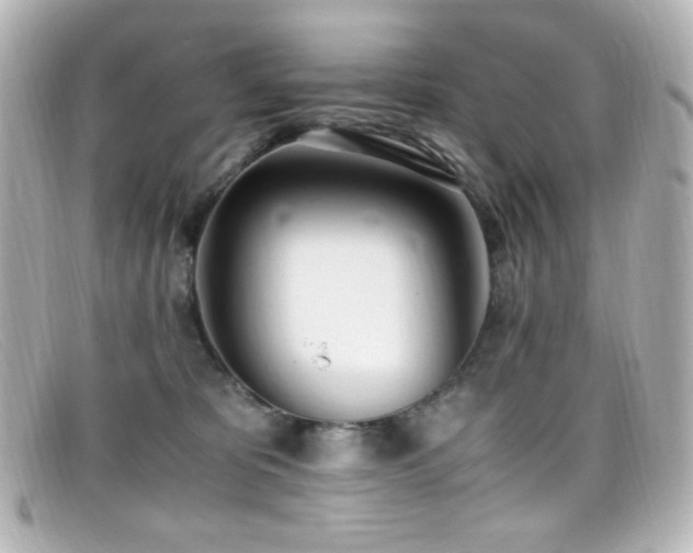 X0000099400325200805081540