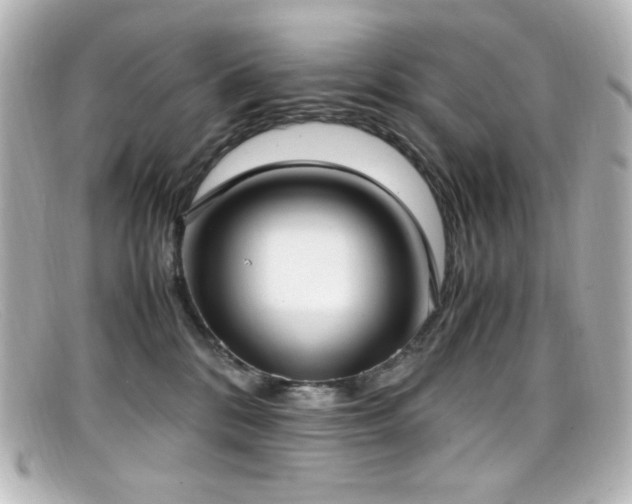X0000099400328200805081540