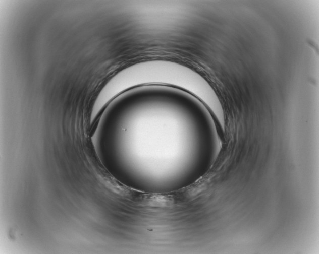 X0000099400330200805081540