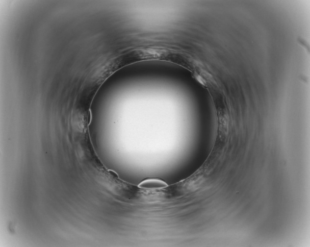 X0000099400331200805081540