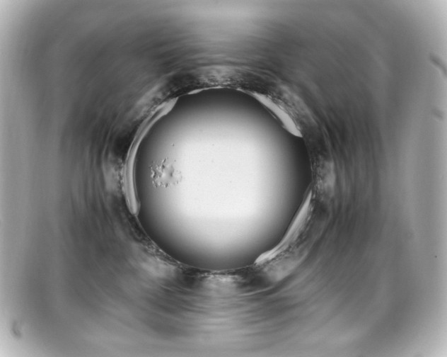 X0000099400332200805081540