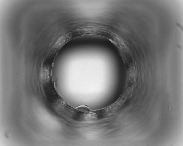 X0000099400333200805081540