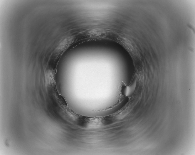 X0000099400335200805081540