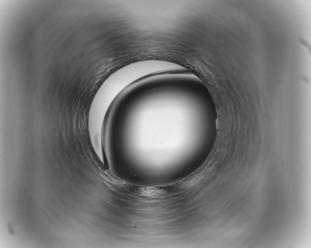 X0000099400336200805081540