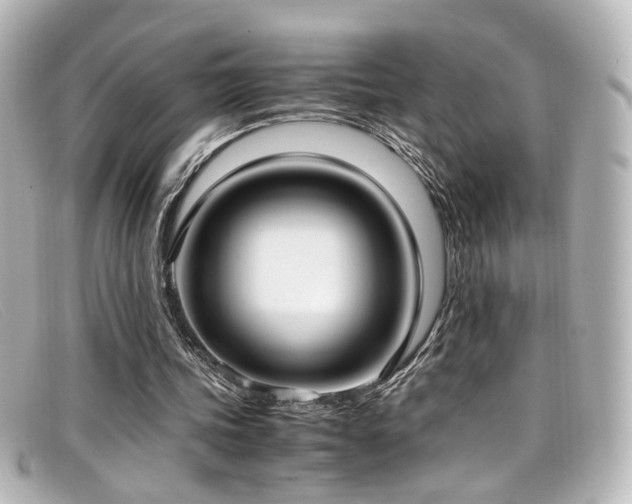 X0000099400339200805081539