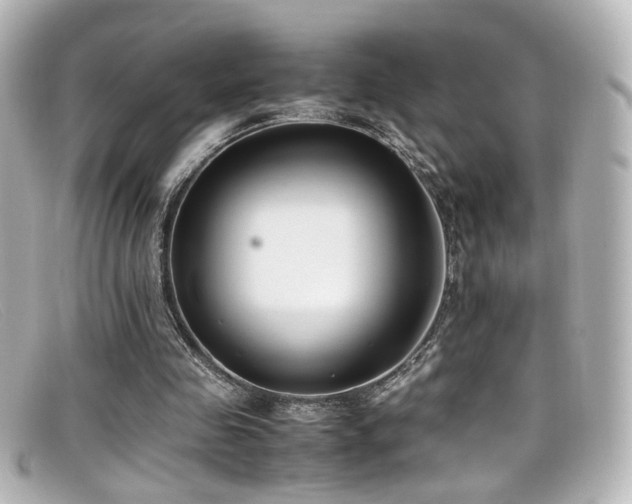X0000099400341200805081539